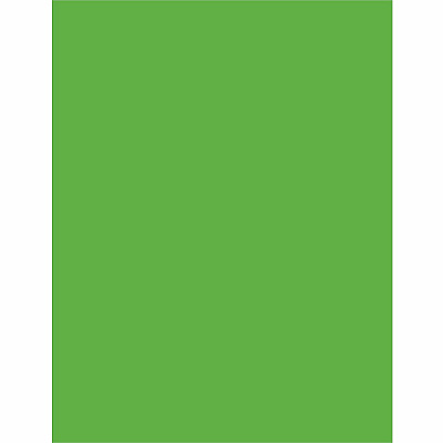 Pacon Neon Multipurpose Paper - Green (PAC104317)
