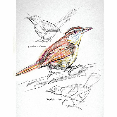 UCreate Art1st Sketch Book (PAC103207)