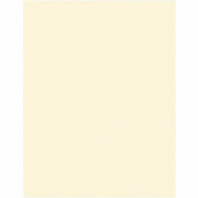 Pacon Card Stock Sheets (PAC101186)
