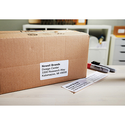 DYMO LabelWriter Large Shipping Labels (30256)