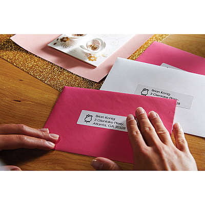 DYMO White Address Labels (DYM30251)