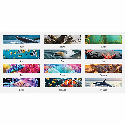 House of Doolittle EarthScapes Sea Life Desk Pads (193)