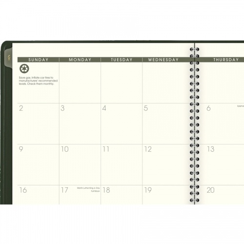 AT-A-GLANCE Recycled Planner (70260G60)