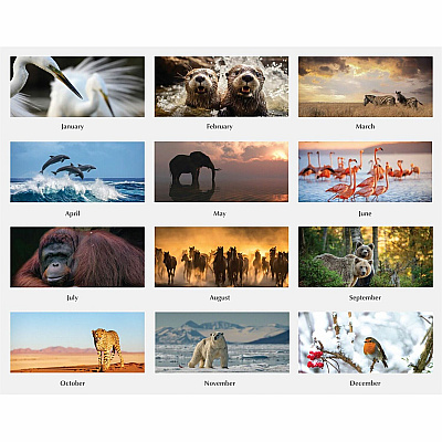 House of Doolittle Earthscapes Wildlife Wall Calendars (3731)