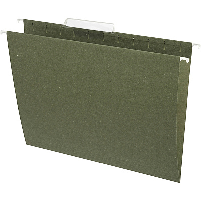 Business Source 1/3 Tab Cut Letter Recycled Hanging Folder (BSN17532)