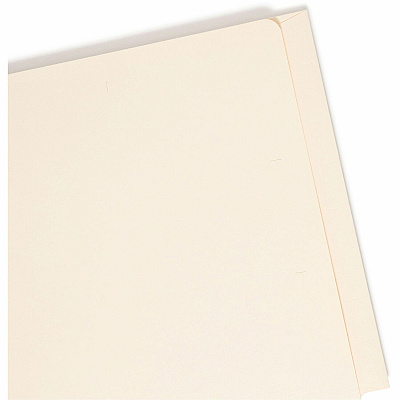Smead Straight Tab Cut Letter Recycled Fastener Folder (SMD34101)