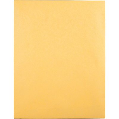 Quality Park 10 x 13 Postage Saving ClearClasp Envelopes with Reusable Redi-Tac Closure (QUA43768)