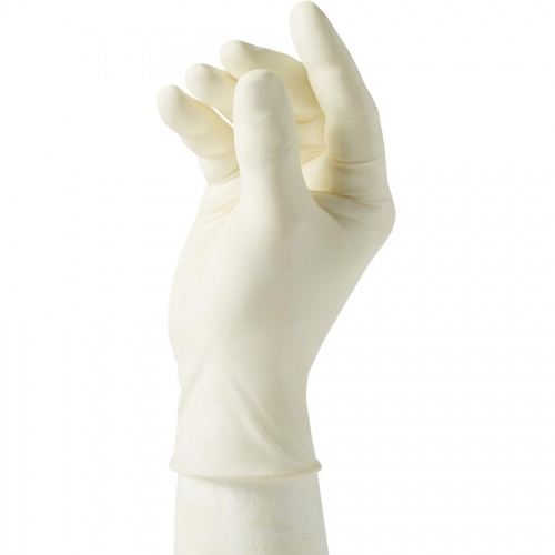 Curad Powder Free Latex Exam Gloves (CUR8106)