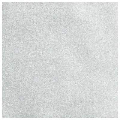 Pacific Blue Basic Jumbo Jr. High-Capacity Toilet Paper (GPC12798)