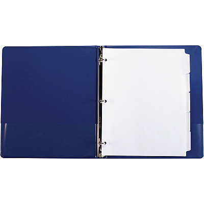 Business Source 3-Ring 5-Tab Erasable Tab Indexes (BSN20072)