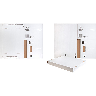 Business Source Economy Storage Box with Lid (BSN42051)