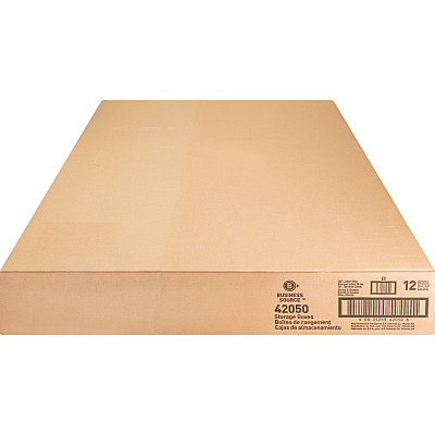 Business Source Light Duty Letter Size Storage Box (BSN42050)