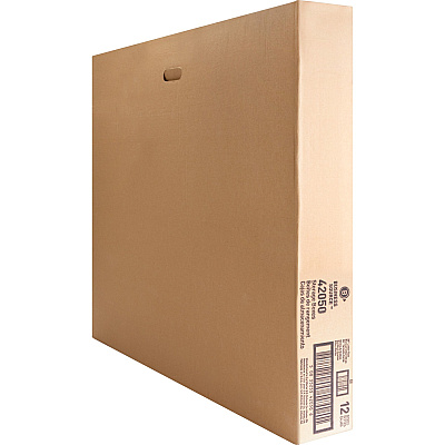 Business Source Light Duty Letter Size Storage Box (BSN42050)