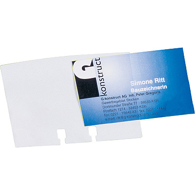 DURABLE VISIFIX Desk Business Card File (DBL241301)