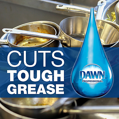 Dawn Manual Dishwashing Liquid (PGC45112CT)