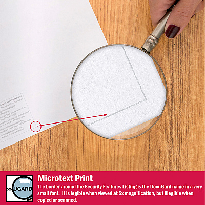 DocuGard Standard 2-part Medical Security Paper (PRB04544)