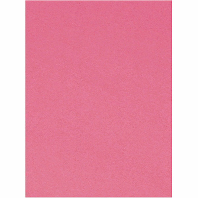 Tru-Ray Construction Paper (PAC103013)
