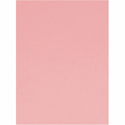 Tru-Ray Construction Paper (PAC103012)