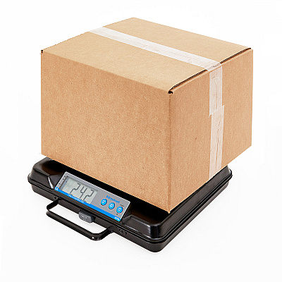Brecknell Digital Bench Scale (SBWGP250)