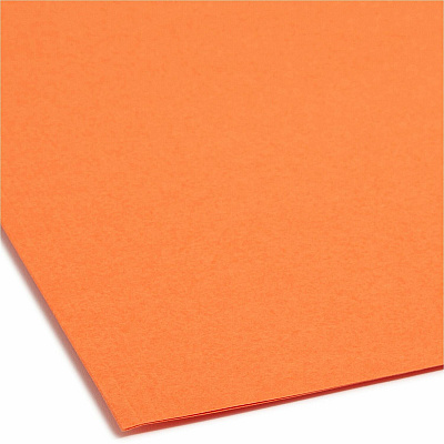 Smead 12540 1/3 Tab Cut Letter Recycled Fastener Folder
