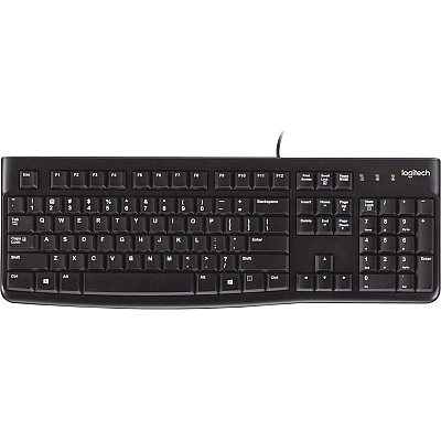 Logitech K120 Plug-and-Play USB Keyboard (LOG920002478)