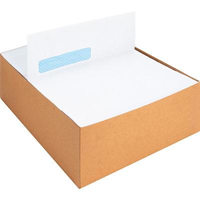 Business Source Security Tint Window Envelopes (BSN16473)