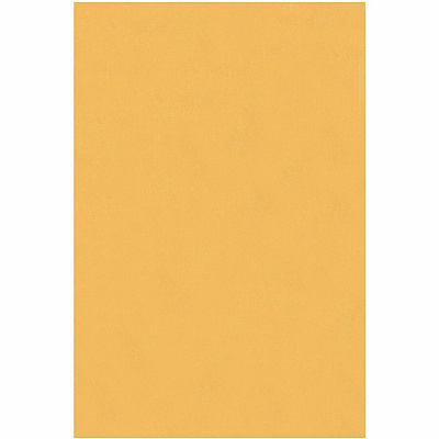 Business Source Heavy-duty Metal Clasp Envelopes (BSN36660)