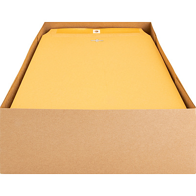 Business Source Heavy-duty Clasp Envelopes (BSN36663)