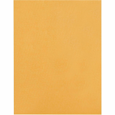 Business Source Heavy-duty Clasp Envelopes (BSN36664)
