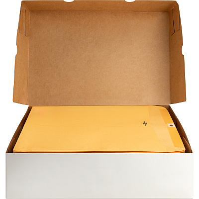 Business Source Heavy-duty Clasp Envelopes (BSN36664)