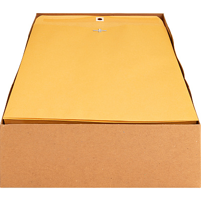 Business Source Heavy-duty Clasp Envelopes (BSN36665)