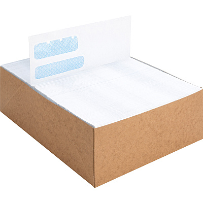 Business Source No. 9 Double Window Invoice Envelopes (BSN36680)