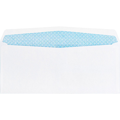 Business Source No. 9 Double Window Invoice Envelopes (BSN36680)