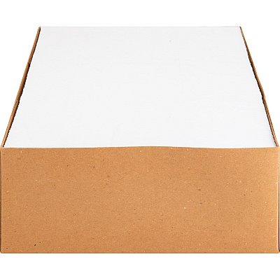 Business Source Regular Tint Peel/Seal Envelopes (BSN36682)