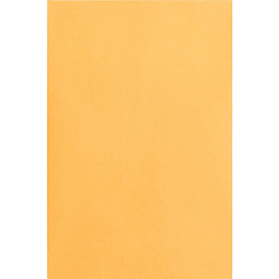 Business Source Durable Kraft Catalog Envelopes (BSN42099)