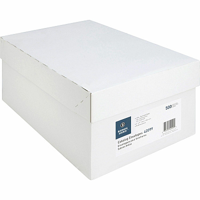Business Source Durable Kraft Catalog Envelopes (BSN42099)