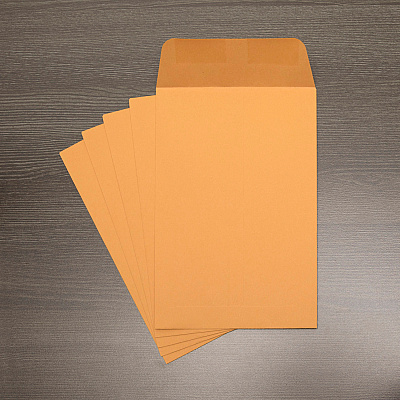 Business Source Durable Kraft Catalog Envelopes (BSN42099)