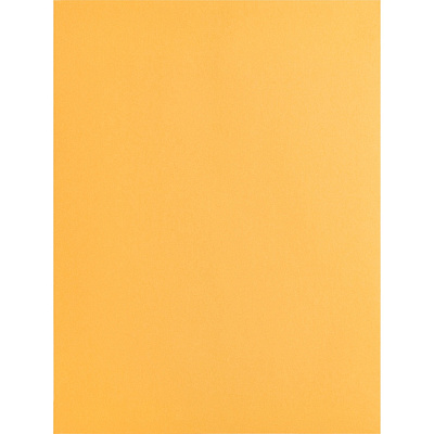 Business Source Kraft Gummed Catalog Envelopes (BSN42100)