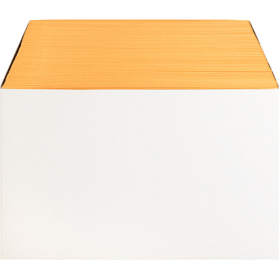 Business Source Kraft Gummed Catalog Envelopes (BSN42100)