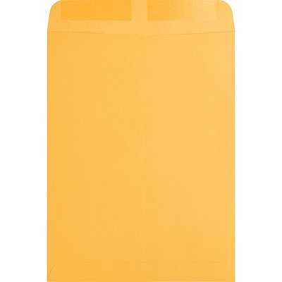 Business Source Kraft Gummed Catalog Envelopes (BSN42100)