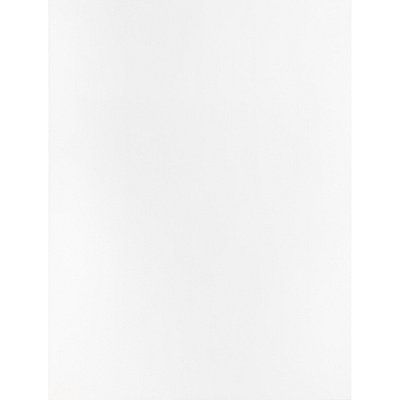 Business Source 28 lb. White Catalog Envelopes (BSN42102)