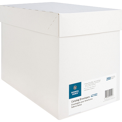 Business Source 28 lb. White Catalog Envelopes (BSN42102)