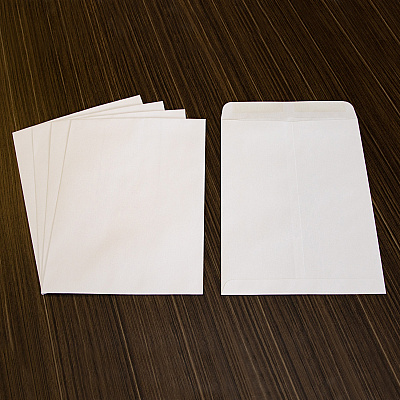 Business Source 28 lb. White Catalog Envelopes (BSN42102)