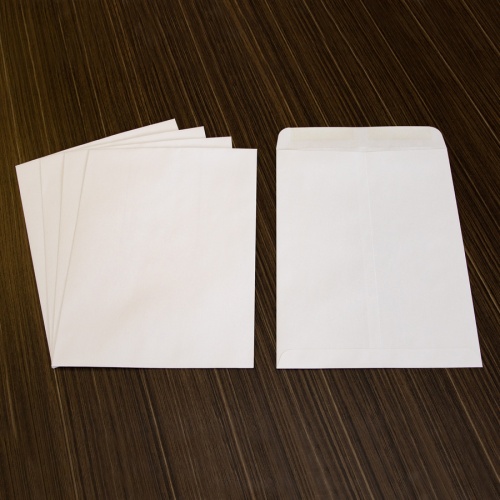 Business Source 28 lb. White Catalog Envelopes (42102)
