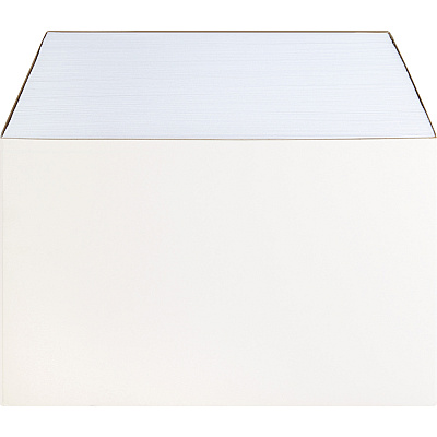 Business Source 28 lb. White Catalog Envelopes (BSN42102)