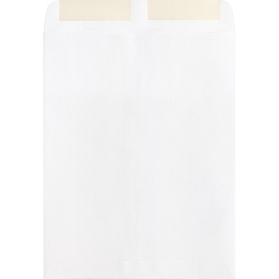 Business Source 28 lb. White Catalog Envelopes (BSN42102)