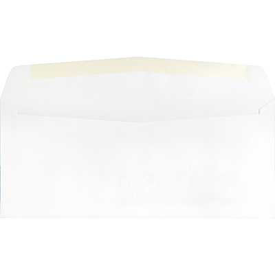 Business Source Economical No. 10 Window Envelope (BSN42251)