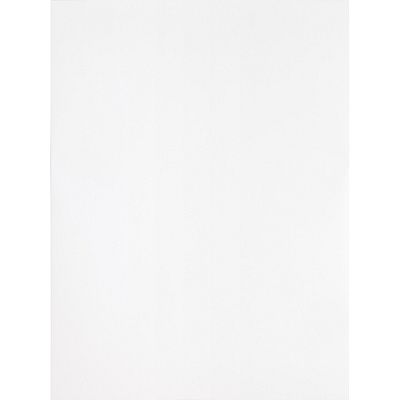 Business Source Self Sealing Catalog Envelope (BSN65450)