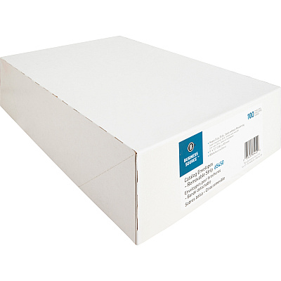Business Source Self Sealing Catalog Envelope (BSN65450)