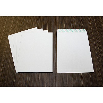 Business Source Self Sealing Catalog Envelope (BSN65450)